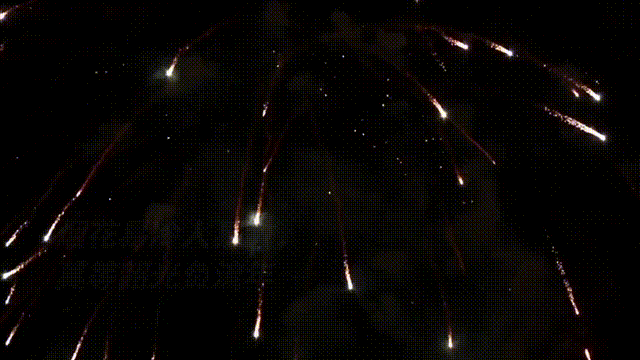 final~1.gif