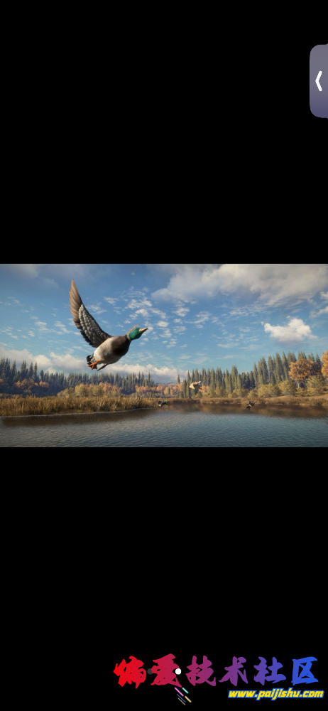 IMG_9408.png