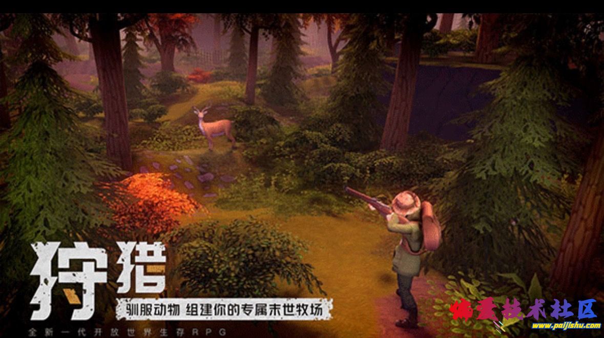 IMG_8392.jpeg